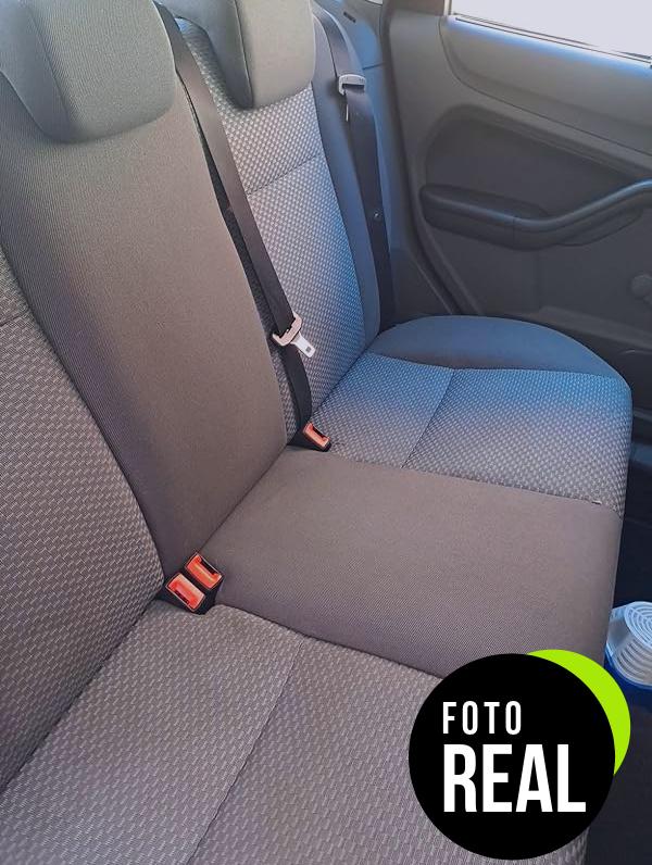 bassmotor-limpia-tapiceria-foto-2