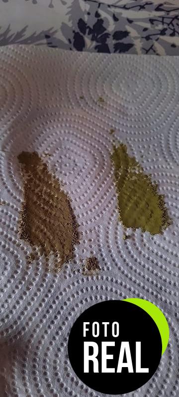 te-verde-matcha-organico-foto-5