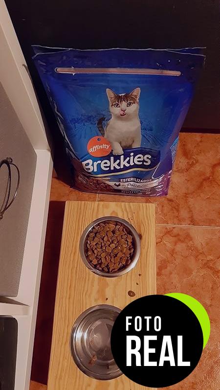 brekkies-gatos-esterilizados-pollo-verduras-foto-1
