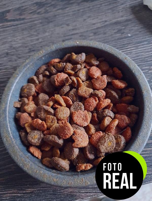 brekkies-gatos-esterilizados-pollo-verduras-foto-2