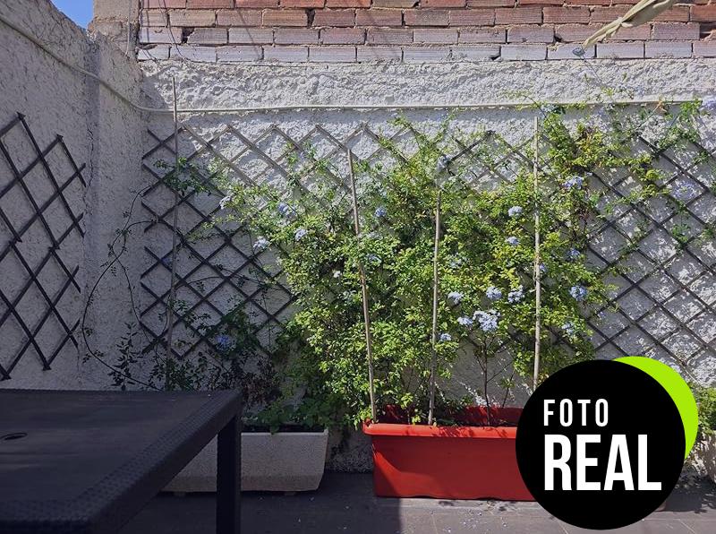 compo-fertilizante-plantas-verdes-foto-1
