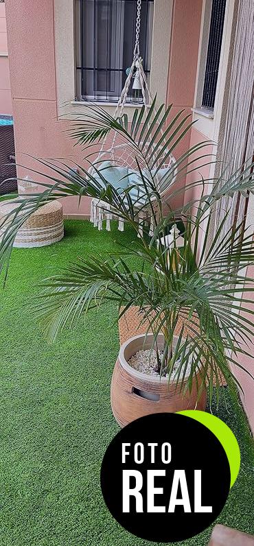 compo-fertilizante-plantas-verdes-foto-2