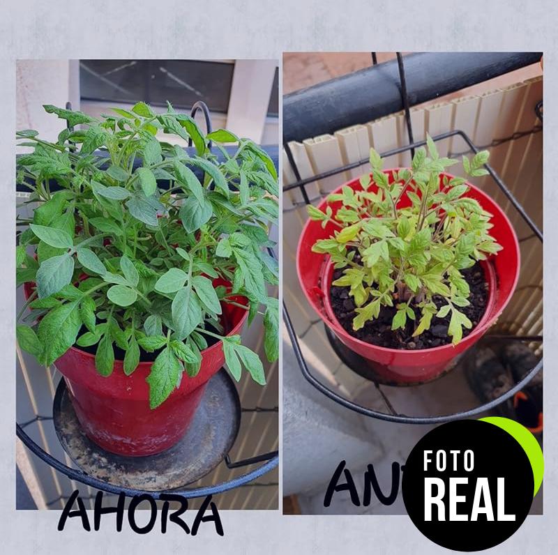compo-fertilizante-universal-foto-2