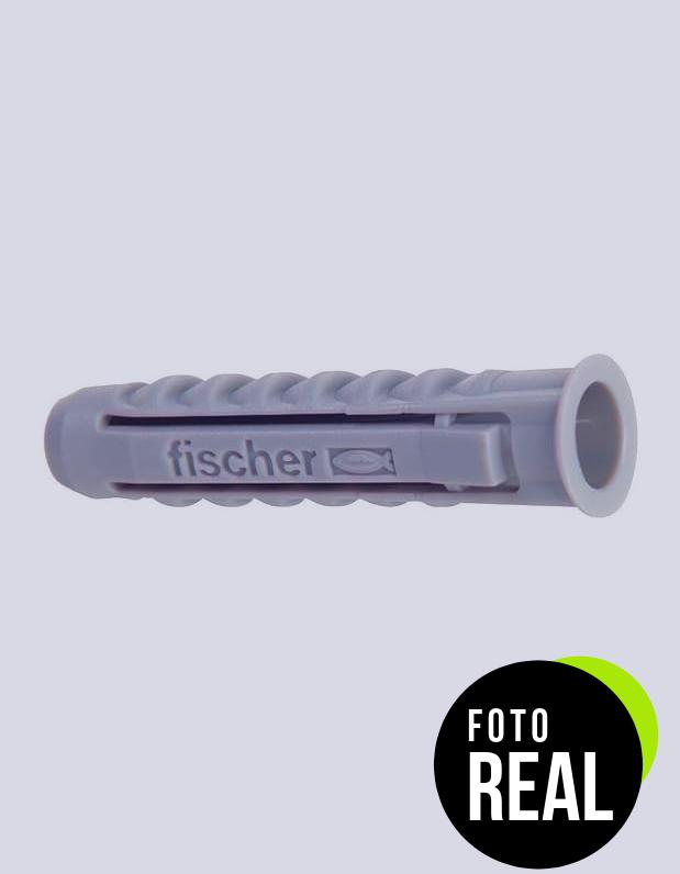 fischer-tacos-pared-foto-1