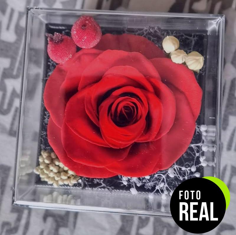 rosa-eterna-cadena-plata-foto-2