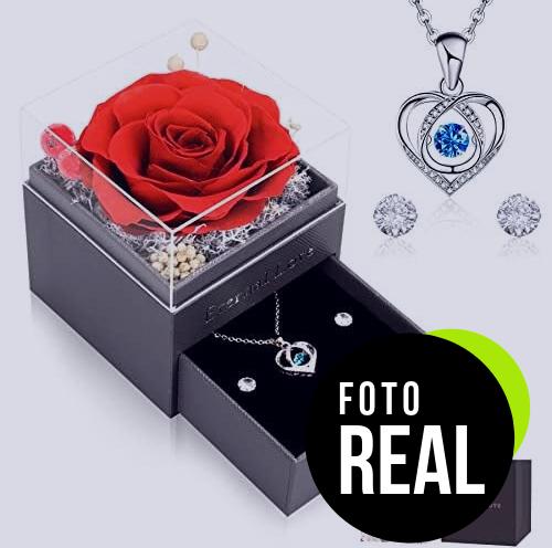 rosa-eterna-cadena-plata-foto-3