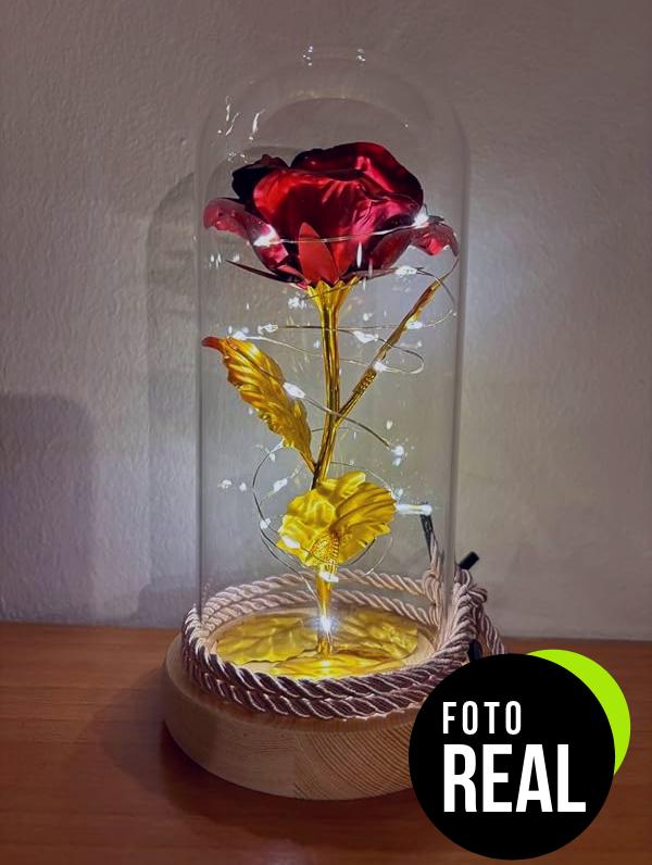 rosa-eterna-led-2-foto-1