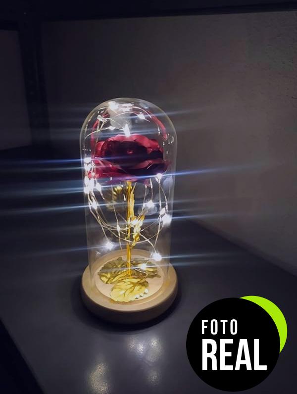 rosa-eterna-led-2-foto-2