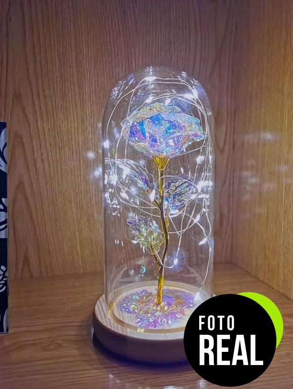 rosa-eterna-led-2-foto-3