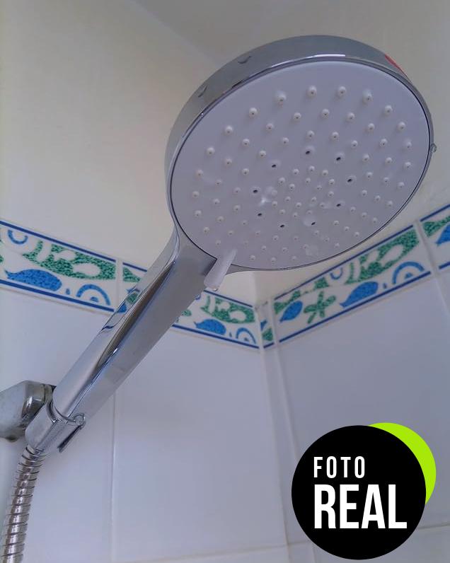 srewohs-alcachofa-ducha-foto-1