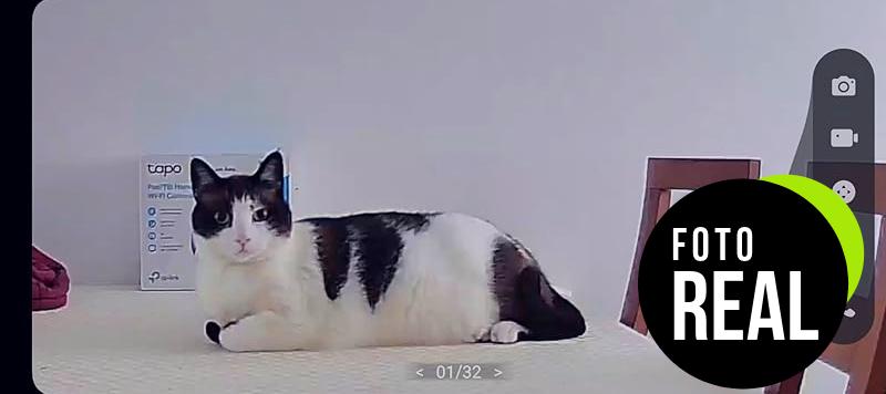 tapo-camara-vigilancia-3-foto-1