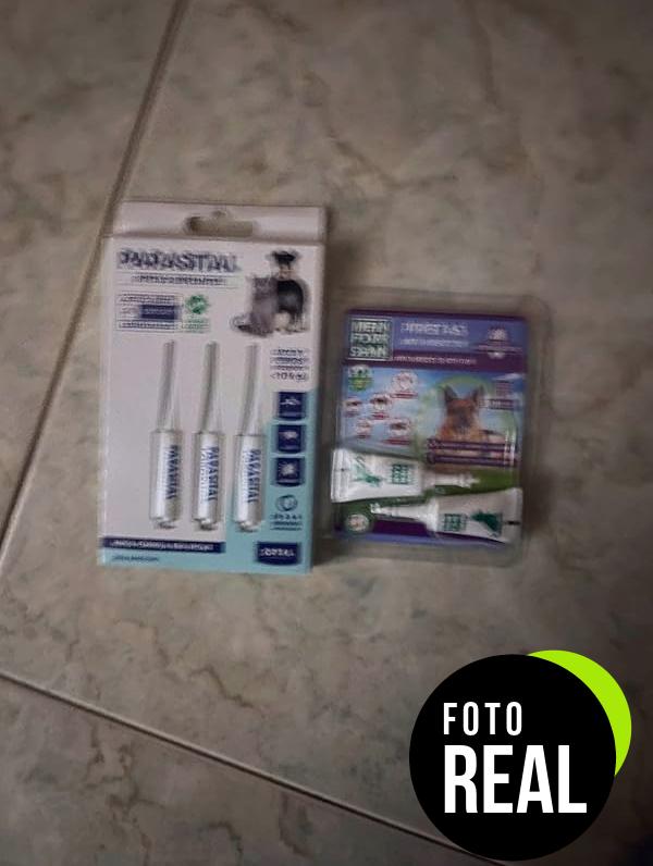 zotal-parasital-pipetas-foto-3